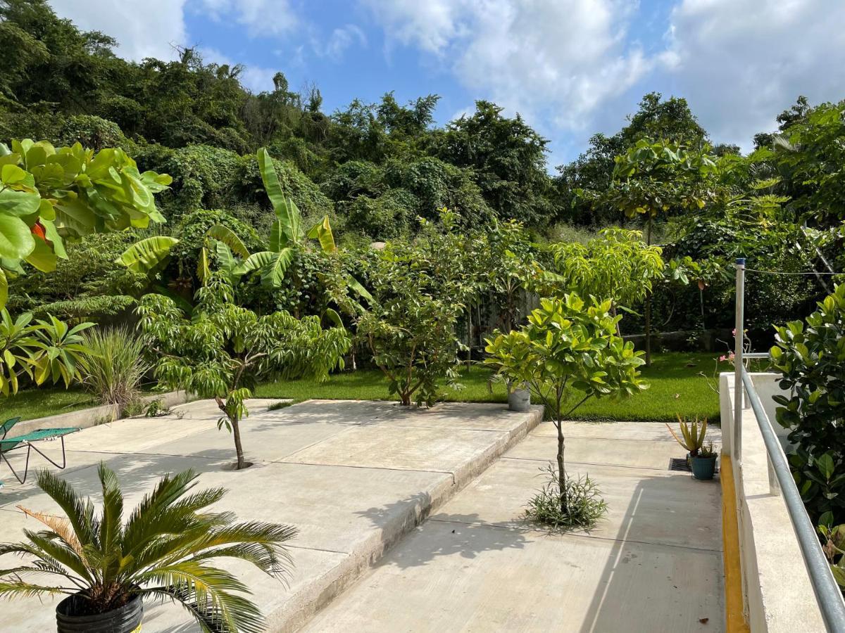 Willa Amanecer Sayulita Zewnętrze zdjęcie